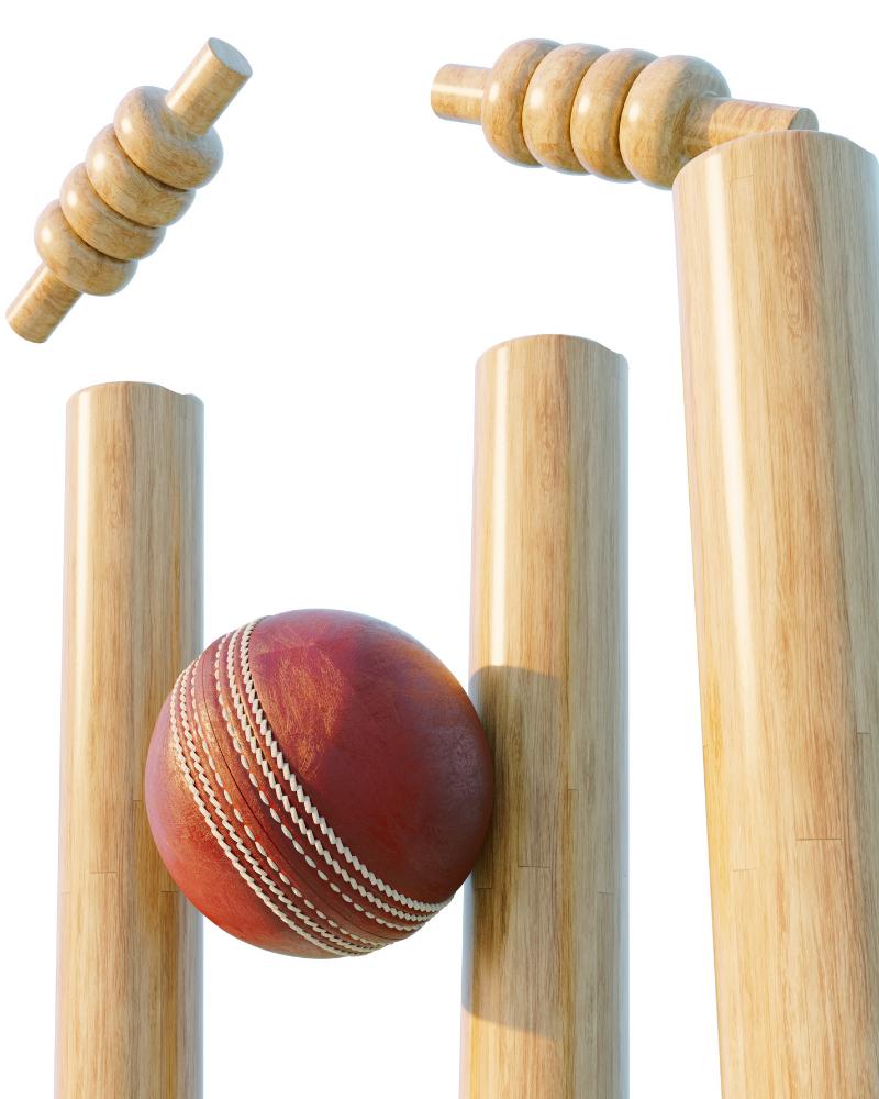 Cricket world cup 2023 contest