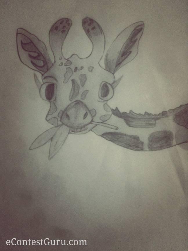 Giraffe 