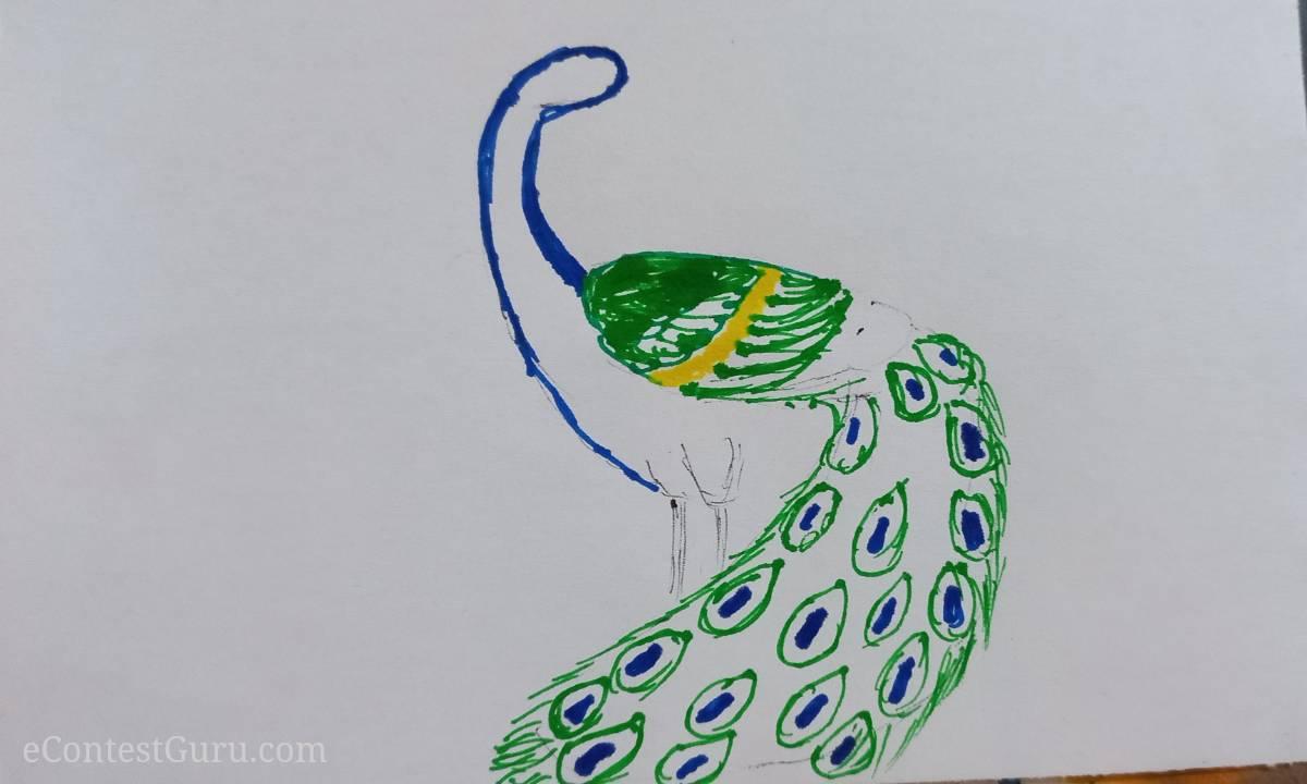 National bird peacock